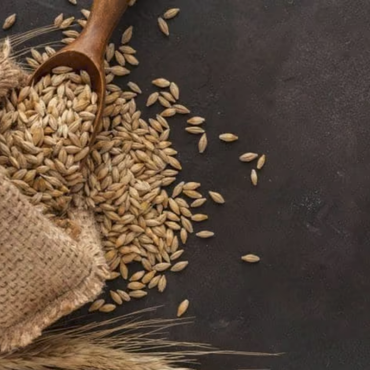 Distillation still at Les Bienheureux